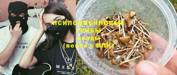 тгк Киров