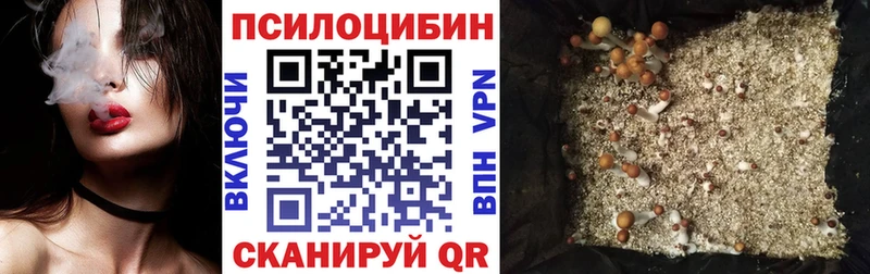Галлюциногенные грибы Psilocybine cubensis  купить   Нижнекамск 