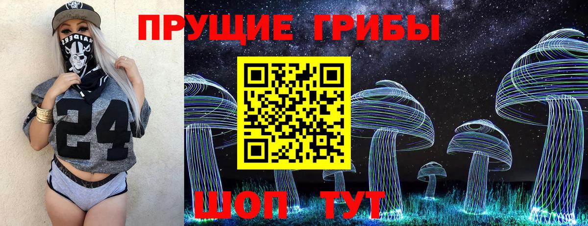 Нижнекамск  Галлюциногенные грибы Magic Shrooms  Псилоцибиновые грибы Magic Shrooms  Вход с VPN 