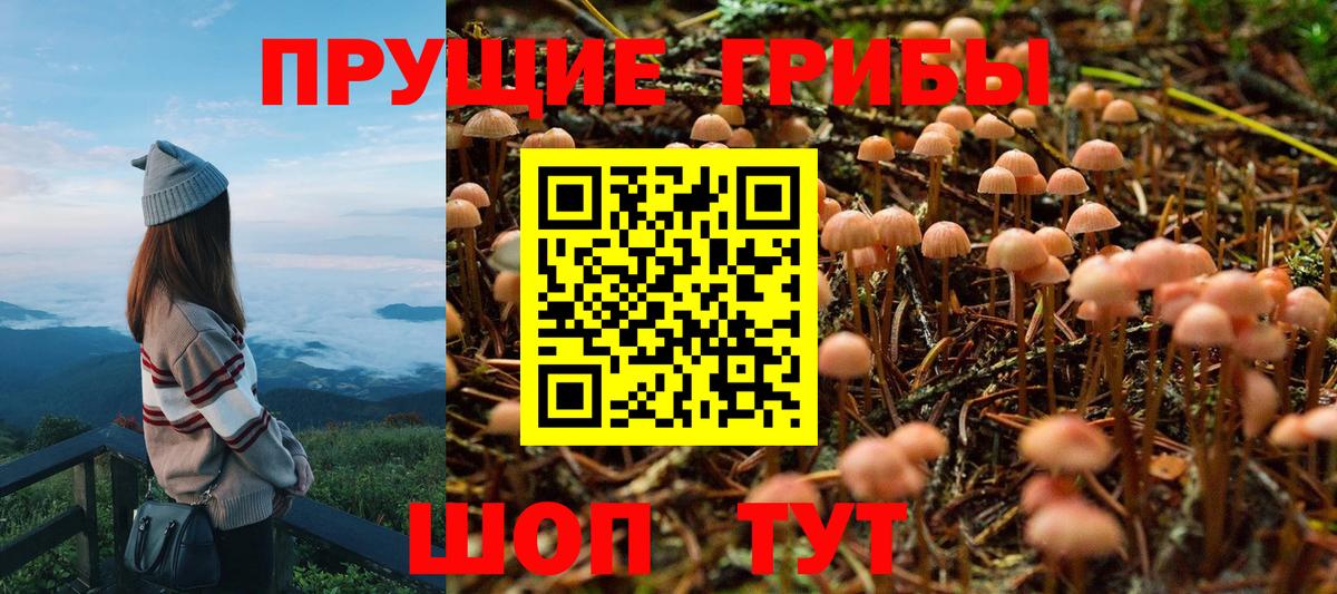 Псилоцибиновые грибы мухоморы  Нижнекамск 